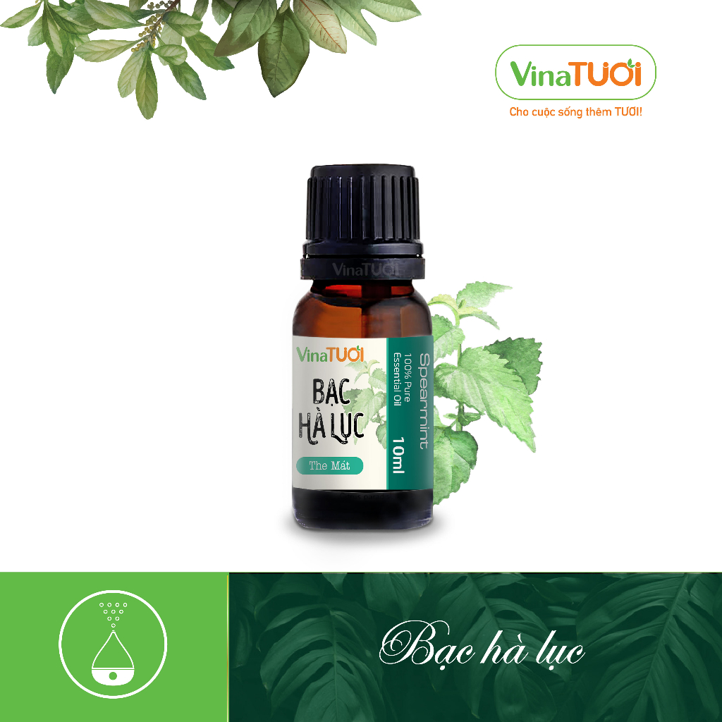 VINA TƯƠI ペパーミント精油 10ml 質量検査証明書付き