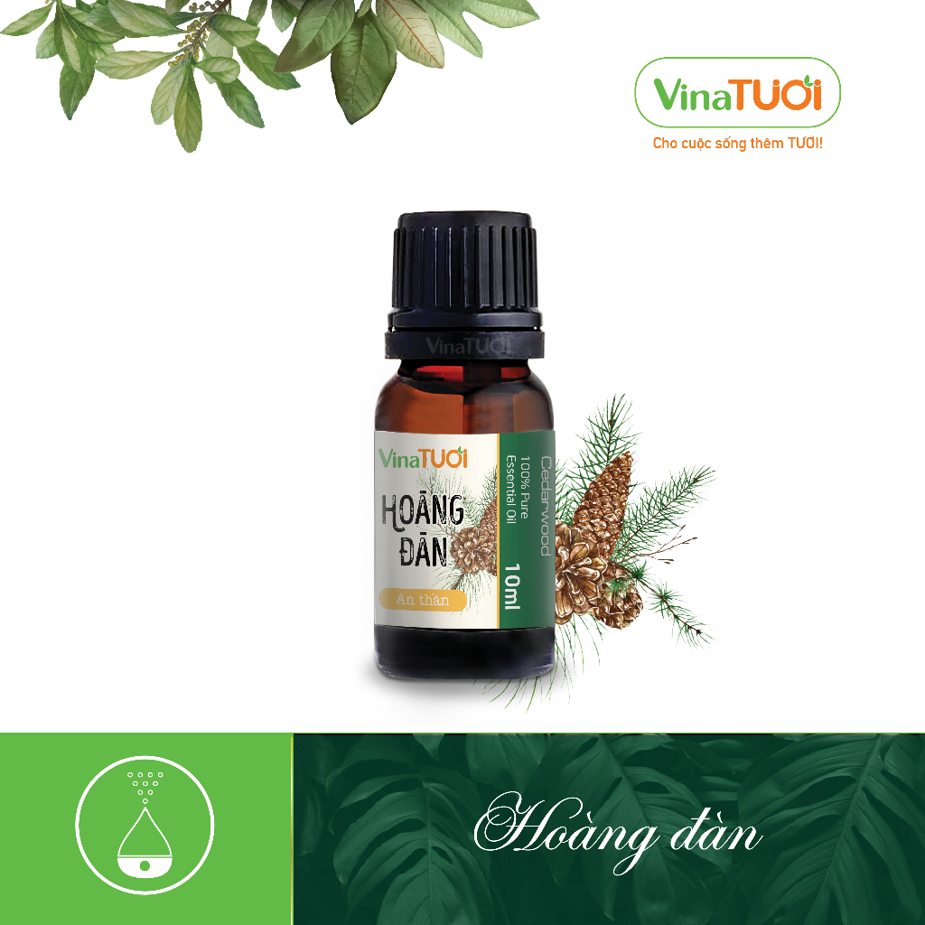 VINA TƯƠI ホワイトシダー精油 高品質 10ml 認証付き