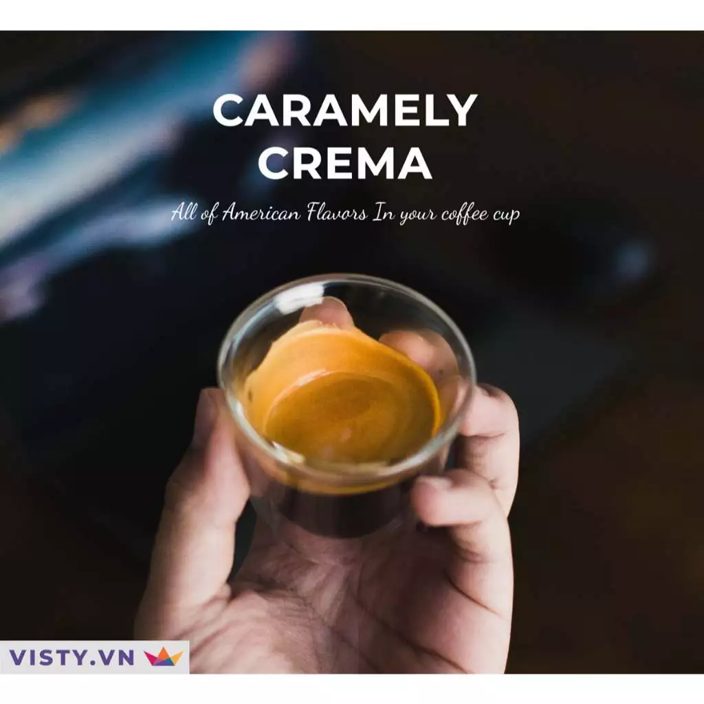 Visty アメリカ大陸ブレンド カラメリークレマ 細挽きコーヒー粉（Phin用）250g