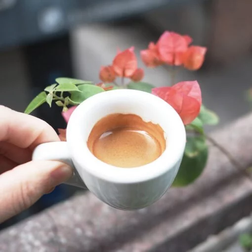 Visty アラビカブレンド「チェリーボム」モカポット用挽き済みコーヒー粉 500g - カップに咲く華やかな香り