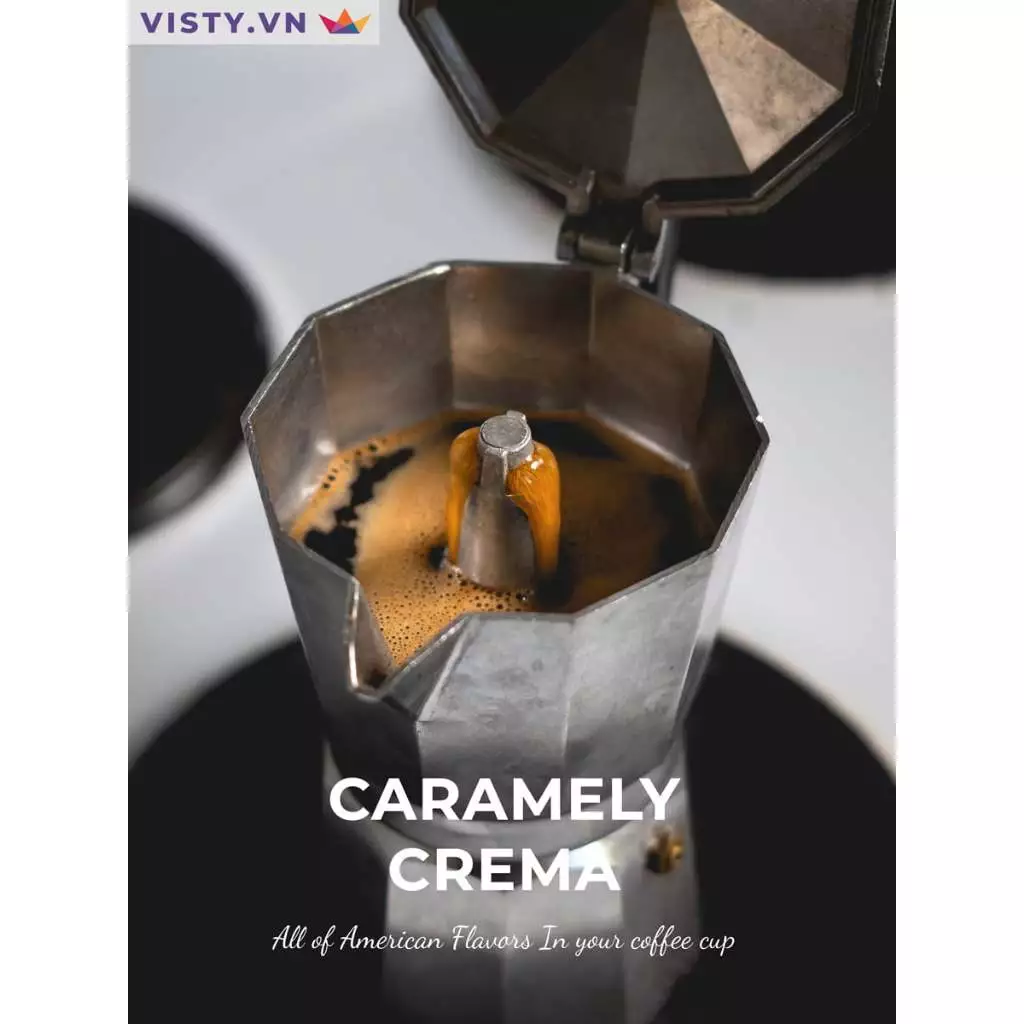 Visty キャラメリークレマ アメリカ大陸ブレンド ホールビーン コーヒー豆 500g (エスプレッソ最適)