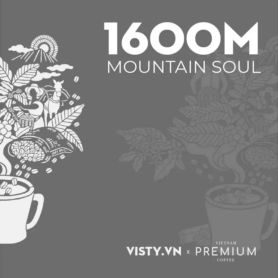 Visty カウダット アラビカ ウォッシュド コーヒー粉 500g - 繊細な香りと軽やかな酸味、ベトナム式フィルター(phin)用