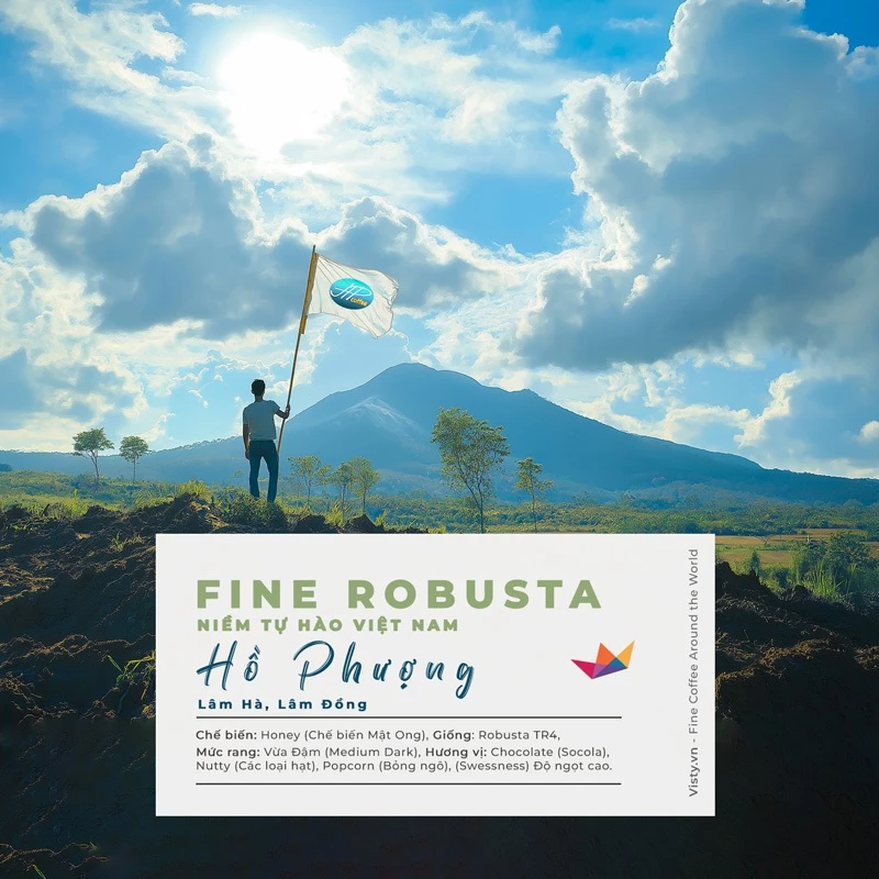 Visty ラムドン産 ファインロブスタハニーコーヒーパウダー – エスプレッソマシン用 極細挽き 500g