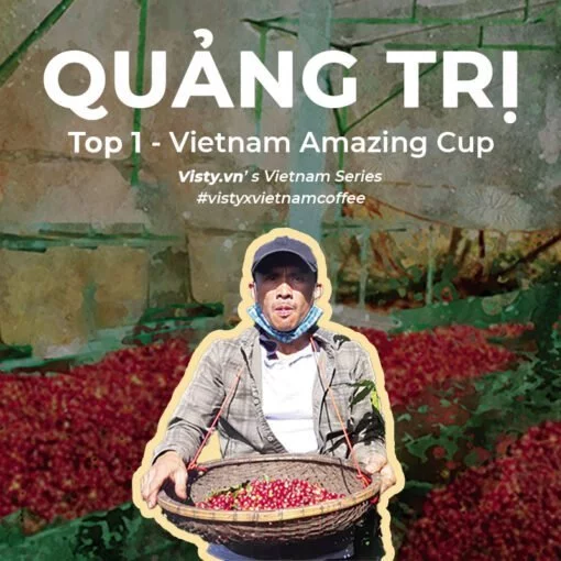 Visty Pun Farm アラビカ プアオーバー用挽き豆 Hướng Phùng Quảng Trị産 (ナチュラル製法) 500g