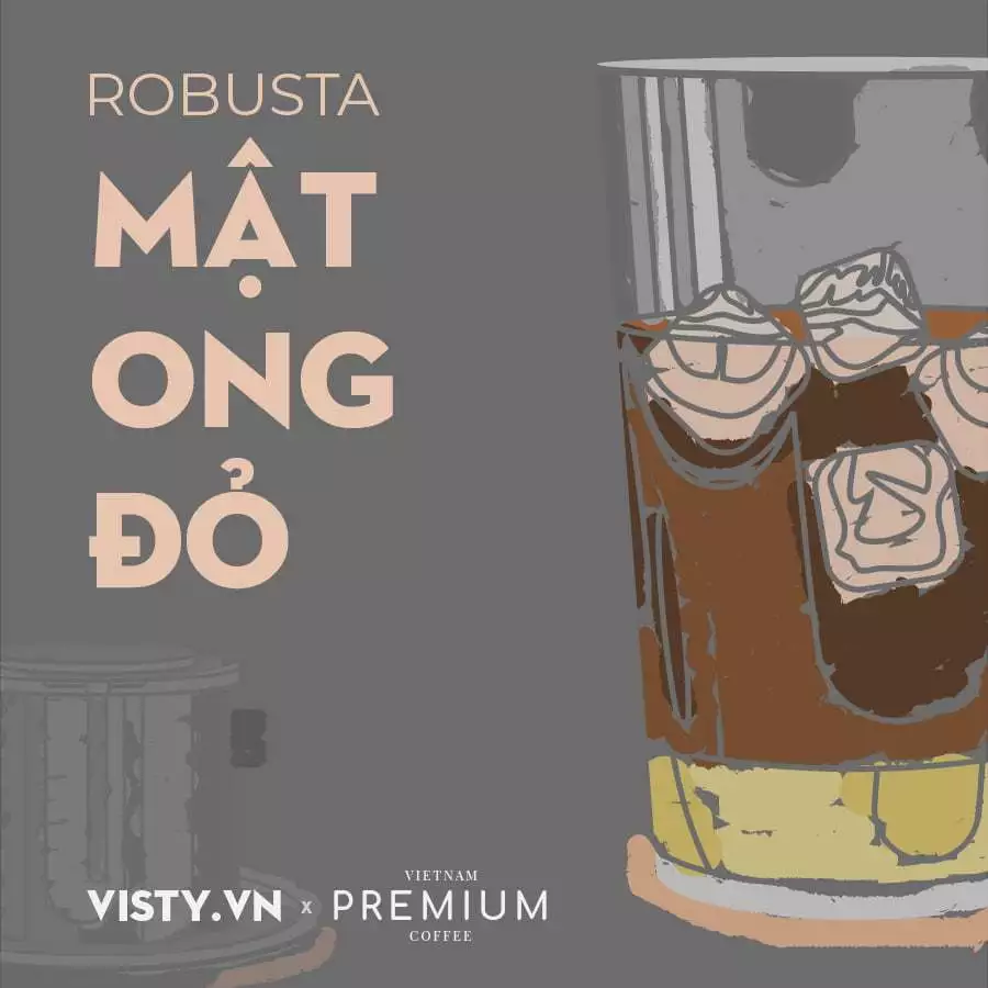 Visty スペシャルティコーヒー ジアライ産 レッドハニー ロブスタ 細挽きコーヒー粉 1000g（ベトナム式フィルター用）