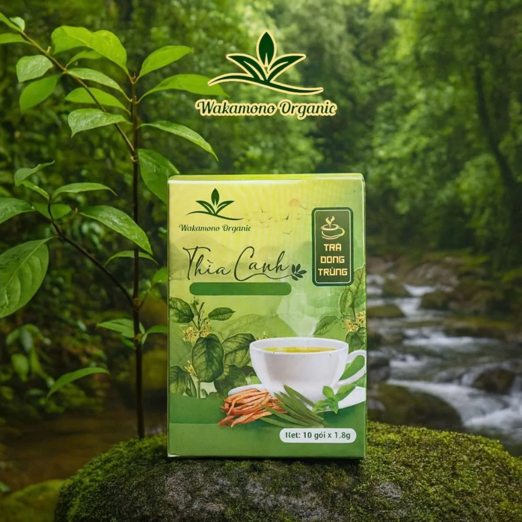 WAKAMONO 冬虫夏草ギムネマ ハーブティー 10袋入り