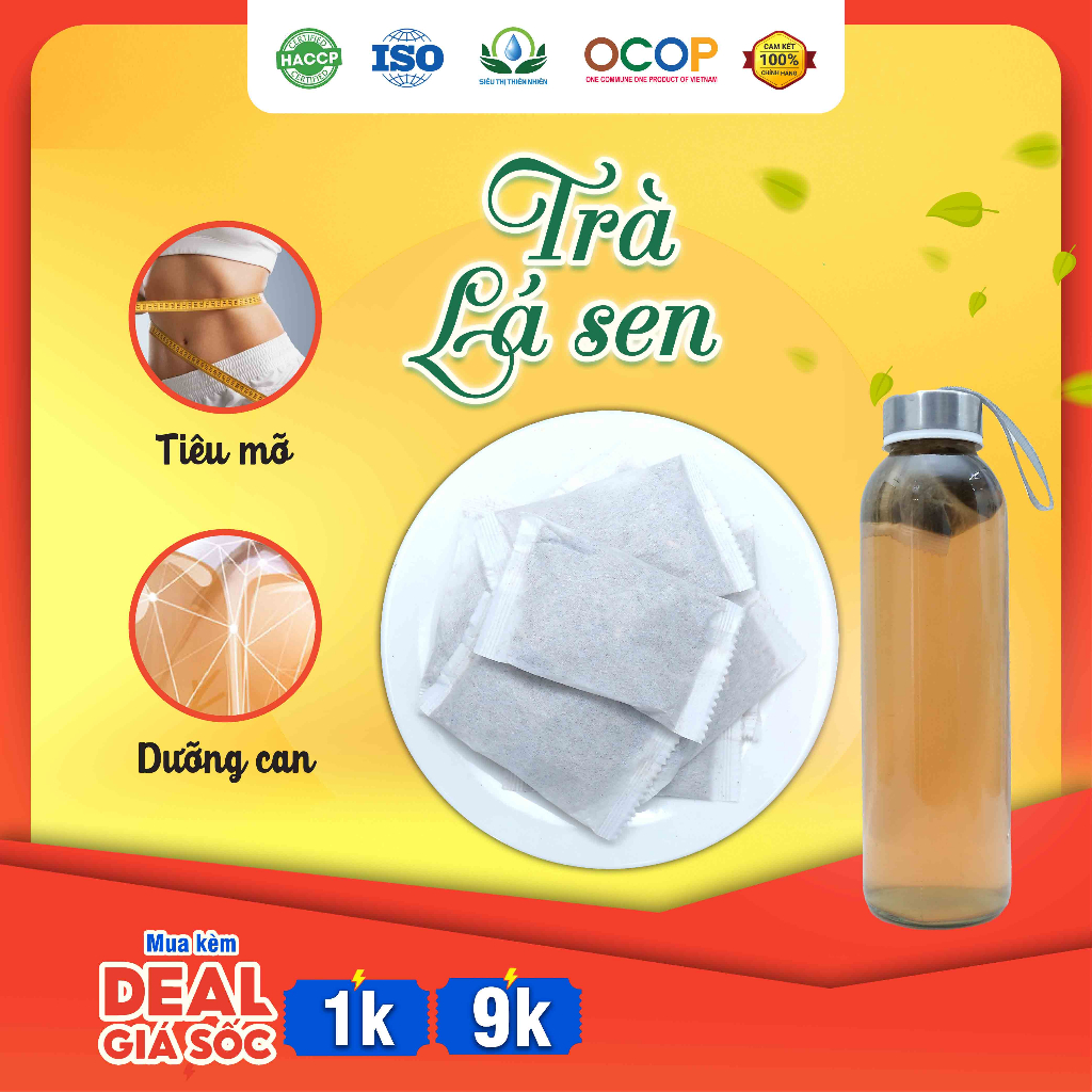ハス茶 蓮葉茶 30袋 ティーバッグ Thi Thien Nhien