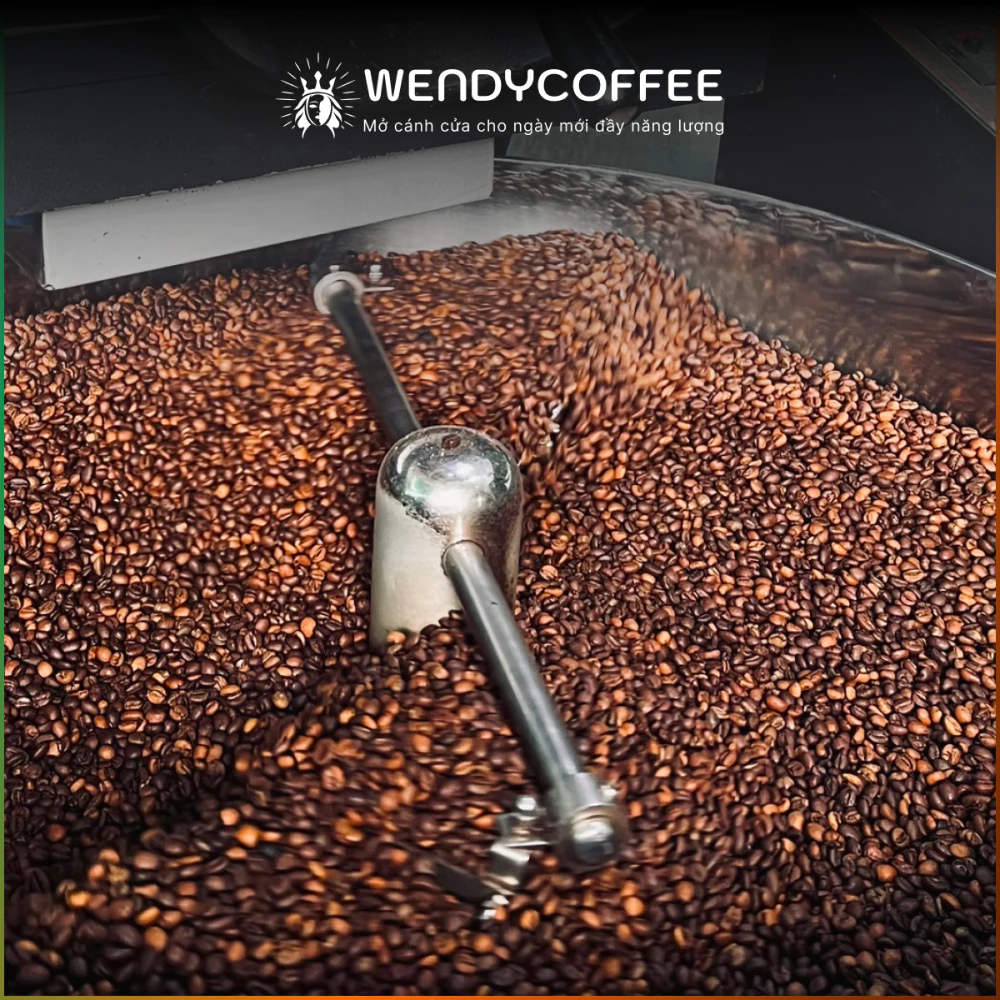 【Wendyhill】ベトナム ロブスタ コーヒー豆 500g - ミディアムロースト (中煎り) | 100% 無添加 ホールビーン