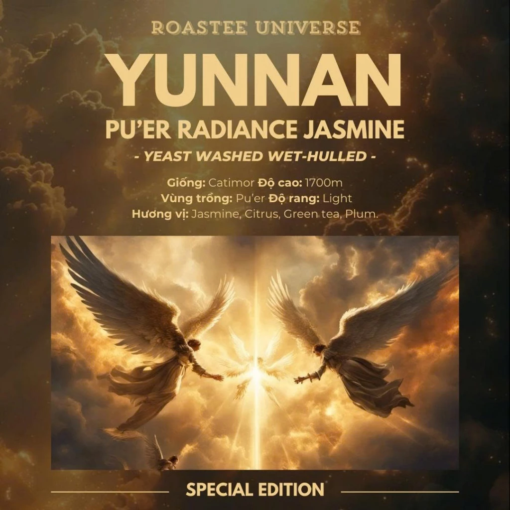 雲南プーアル産 輝きジャスミン酵母ウォッシュド スペシャルティコーヒー 挽き豆 250g ポアオーバー専用