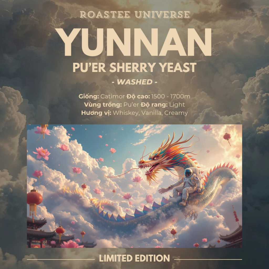 雲南プーアル シェリー酵母ウォッシュド スペシャルティコーヒー豆 100g（ハンドドリップ推奨）
