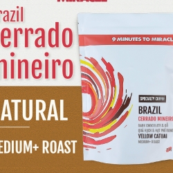 ブラジルコーヒー ミナスジェライス州セラード ミネイロ |スペシャルティ コーヒー - 100gr - 挽いたコールドブリュー