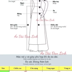 ベトナム衣装 アオダイ 白色の ロングドレス 2023年モデル Ao Dai Dan Linh