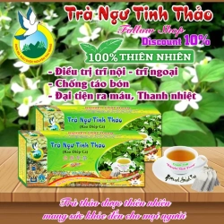 ハーブティー ドグダミ茶 10袋セット (50枚 x 2g) ティーバッグ 痔治療用 Tra Thao Duoc Nguyen Thai Trang