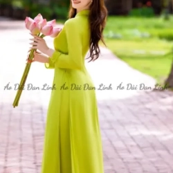 ベトナム衣装 アオザイ 若々しい緑色のロングドレス Giian