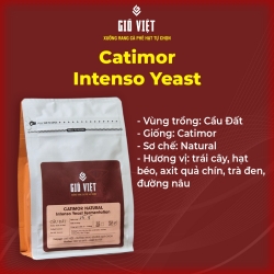 Catimor Intenso 発酵コーヒー - Radar Farm で前処理済み - 250gr バッグ - Gio Viet Coffee - 保存済み 丸ごとの豆 前処理済み 前処理済み 前処理済み