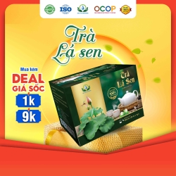 ハス茶 蓮葉茶 30袋 ティーバッグ Thi Thien Nhien