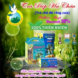 ハーブティー コミカンソウ茶 100袋 x 2g ティーバッグ Tra Thao Duoc Nguyen Thai Trang