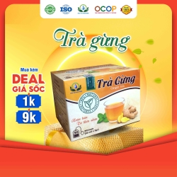 ジンジャーティー 30袋×4g ティーバッグ Thi Thien Nhien