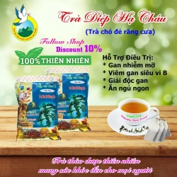コミカンソウ茶 ハーブティー 10袋セット (100枚 x 2g) ティーバッグ Tra Thao Duoc Nguyen Thai Trang