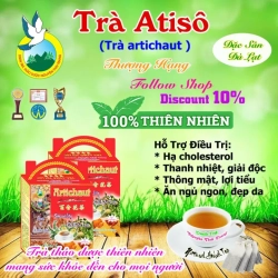 アーティチョークティー 100枚 x 2g ティーバッグ 不眠症、美肌効果 Tra Thao Duoc Nguyen Thai Trang