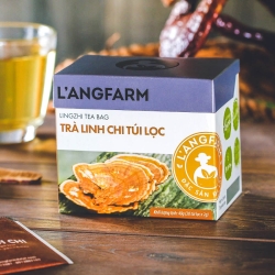 霊芝茶 ティーバッグ 20袋 Lang Farm