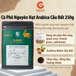 プレミアムコーヒー豆 アラビカ種モカ 250g 中煎り GAIA CAFE