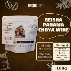 パナマ ゲイシャ コーヒー - Garrido - ナチュラル プロセス - 100g パック - DzungCapu スペシャルティ コーヒー - 中煎り - 全豆