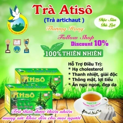 ハーブティー アーティーチョークティー 20袋 x 2g ティーバッグ 不眠症、美肌効果 Tra Thao Duoc Nguyen Thai Trang