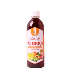 ホンラムの梅ジュース - 酸甘い味 - 500ml