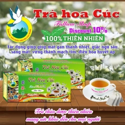 菊花茶 50袋 x 2g ティーバッグ 不眠症 Tra Thao Duoc Nguyen Thai Trang