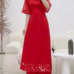 ベトナム衣装 アオザイ モダンスタイル 2023年モデル フルカラー Ao Dai Dan Linh